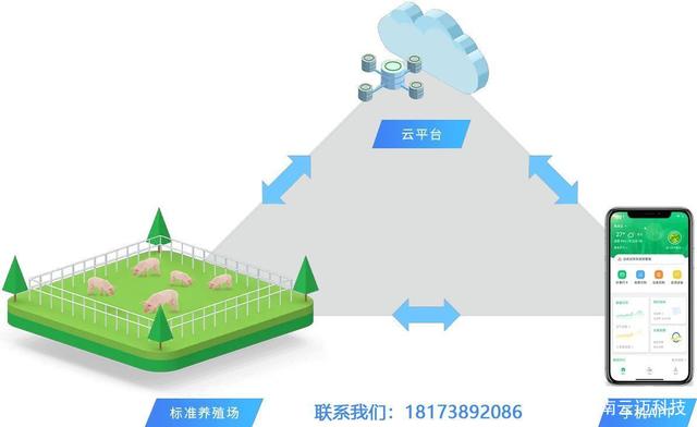 区块链养猪，重塑农业产业的新模式