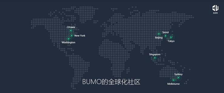 区块链BU，重塑数字时代的信任基石