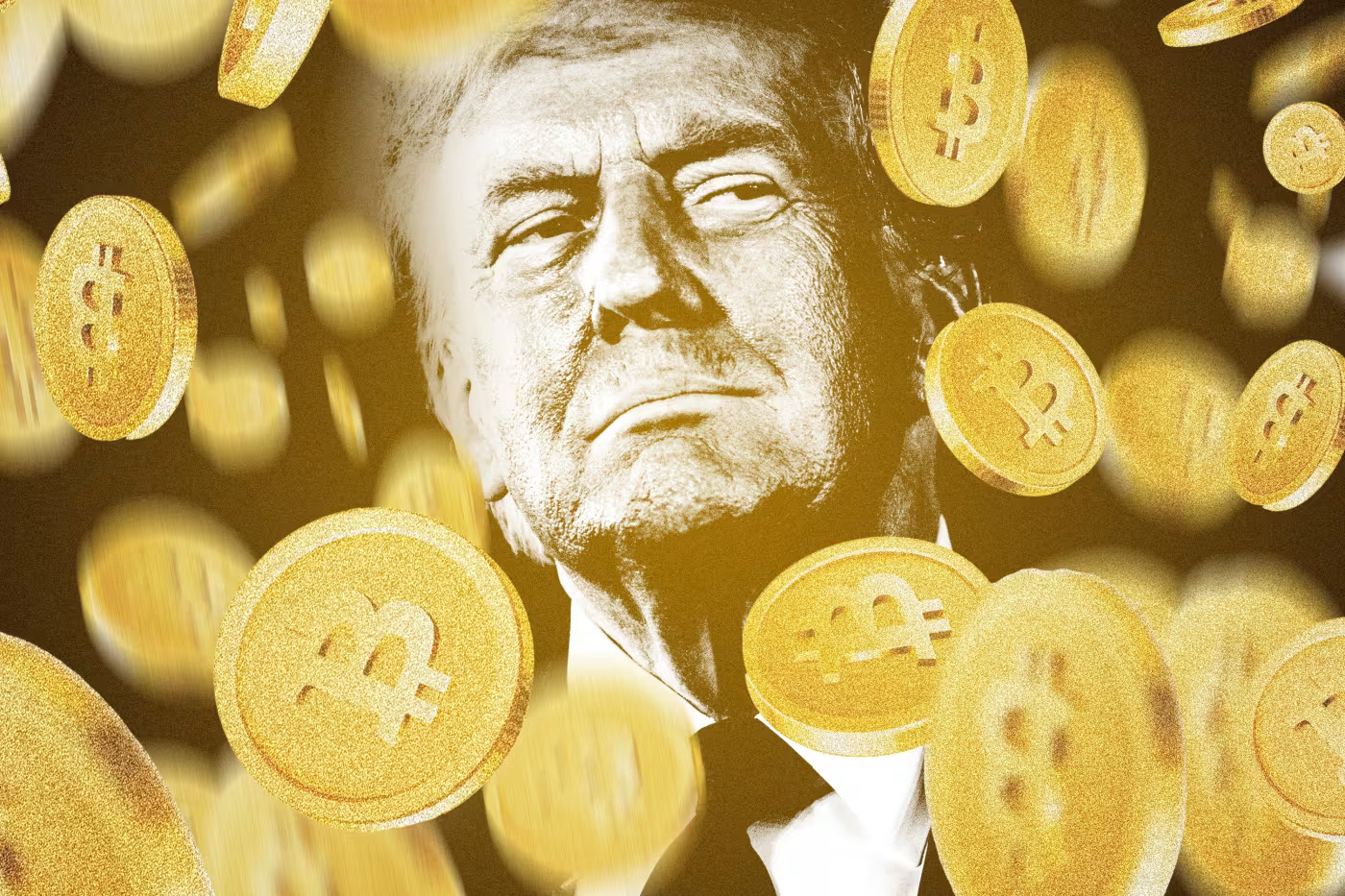 特朗普加密货币顾问David Bailey成功为比特币投资公司筹集巨额资金