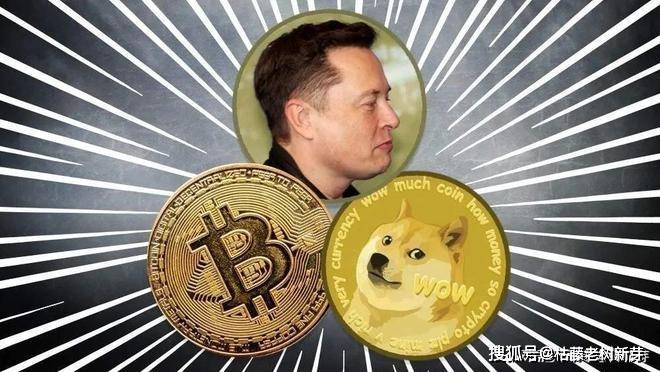 特斯拉对比特币与狗狗币的投资策略，坚定持有与灵活调整