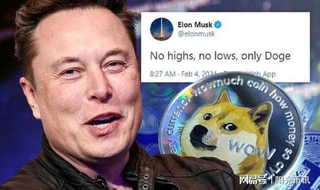 特斯拉对比特币与狗狗币的投资策略，坚定持有与适时调整