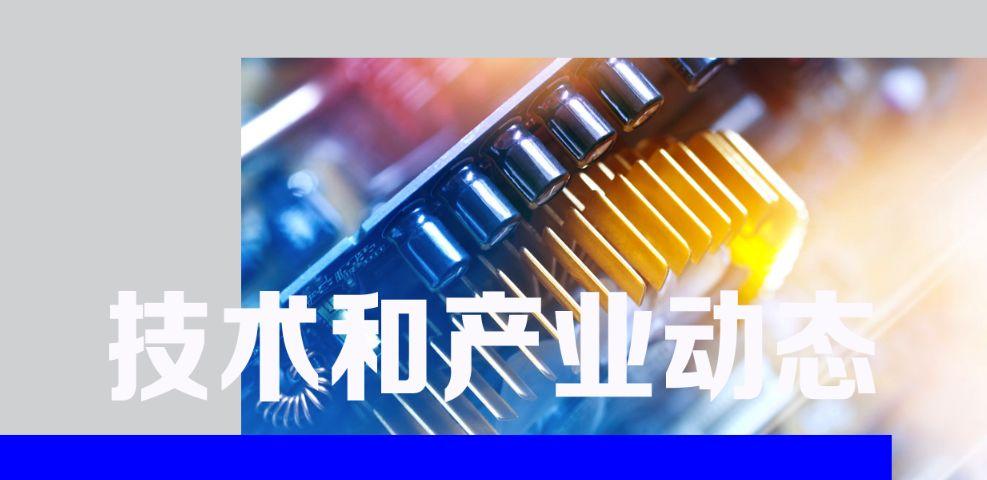 Crypto Biz，Ripple决定性时刻与币安持续清理行动揭秘