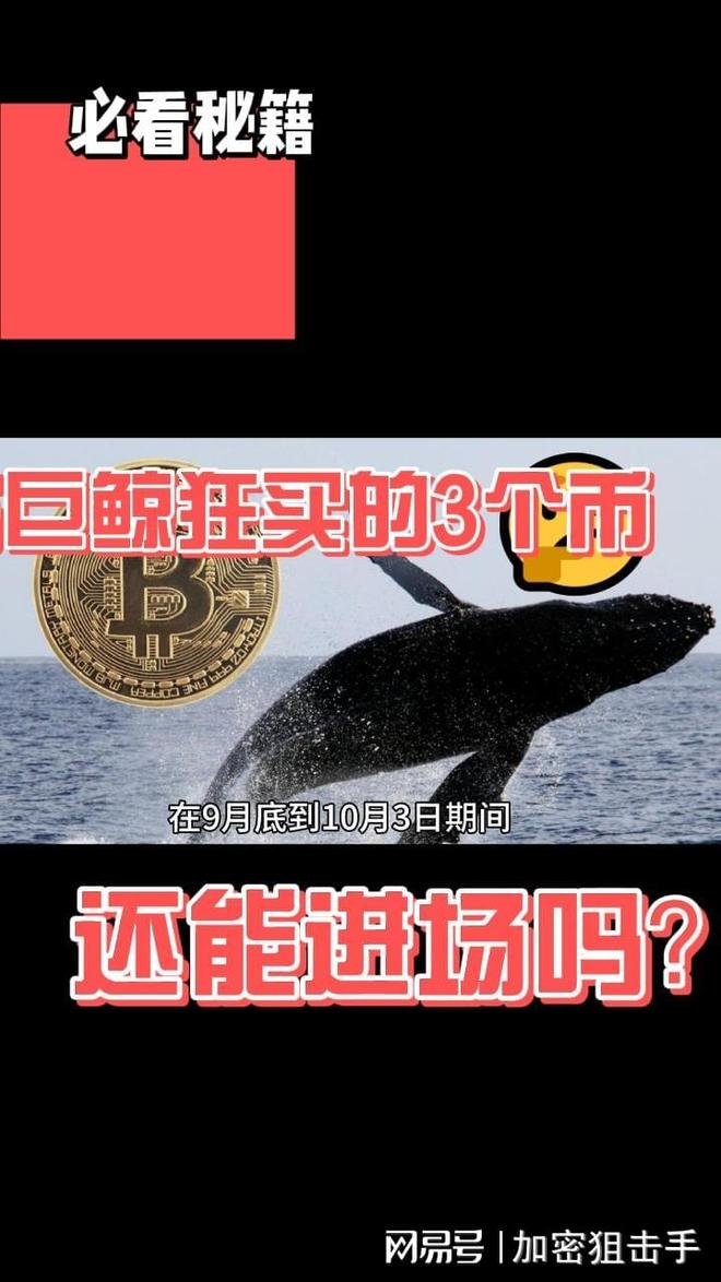 索拉纳巨鲸在巨额质押解锁后的SOL抛售行为深度解析