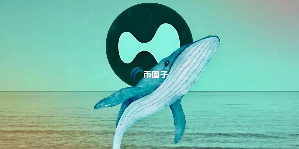 加密货币侦探ZachXBT揭秘，发现百倍Hyperliquid鲸鱼踪迹