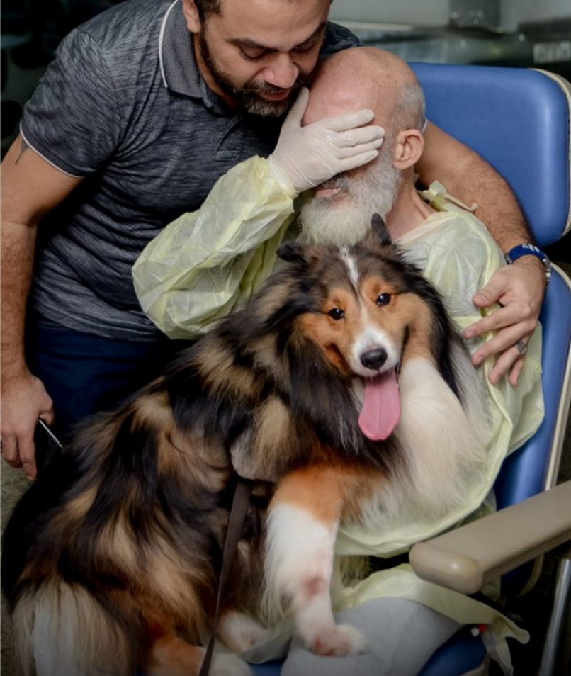 CZ爱犬名字引发西兰花迷因币市狂潮