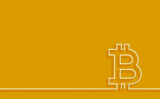 Bitwise首席投资官揭示，加密货币市场中散户与专业投资者的断层现象深度剖析
