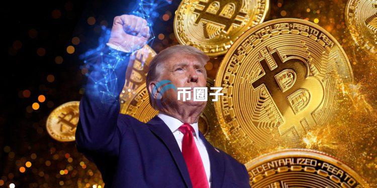 Bitwise,特朗普加密货币令可能会扰乱比特币的四年周期 Bitwise,特朗普加密货币令可能会扰乱比特币的四年周期