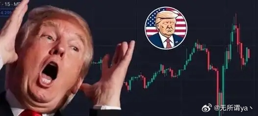 特朗普言论一出,TRUMP代币跌势汹汹——我对它了解不多引发的市场震荡 特朗普言论一出,TRUMP代币跌势汹汹——我对它了解不多引发的市场震荡