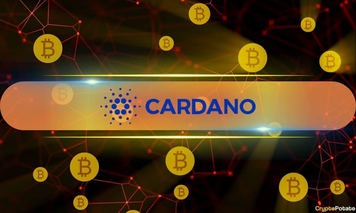 Cardano创始人预测比特币DeFi将在三年内主导加密货币市场