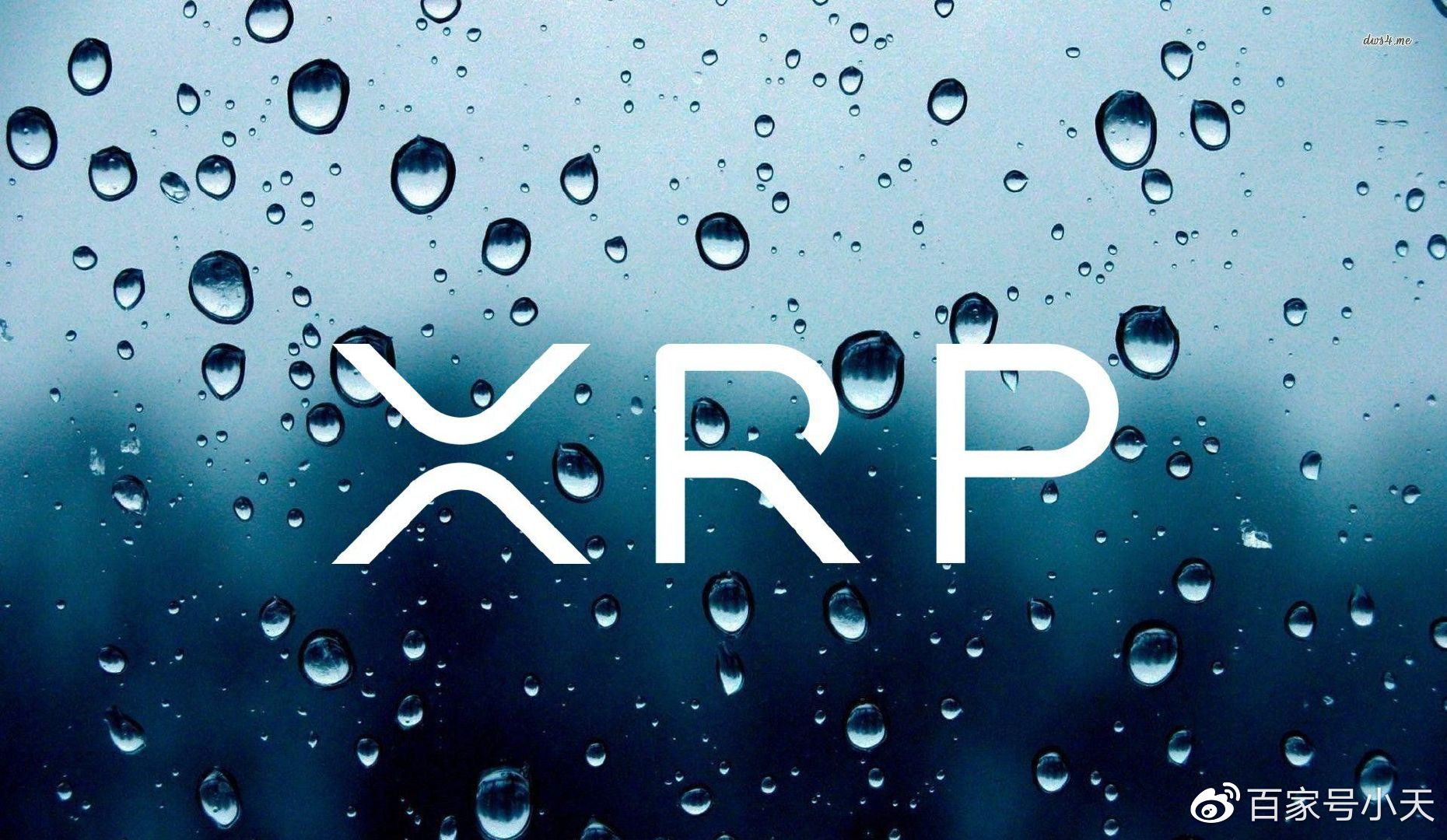 瑞波公司与Bitwise XRP ETP的重塑投资,开启加密货币新时代 瑞波公司与Bitwise XRP ETP的重塑投资,开启加密货币新时代