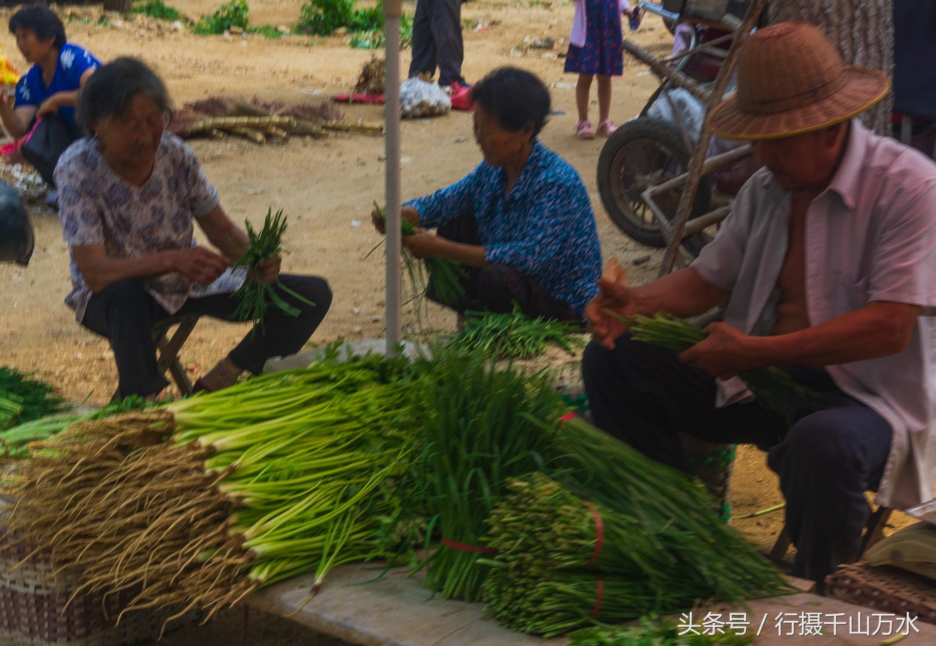 电脑聊天工具在信息整理与回复效率提升中的关键作用