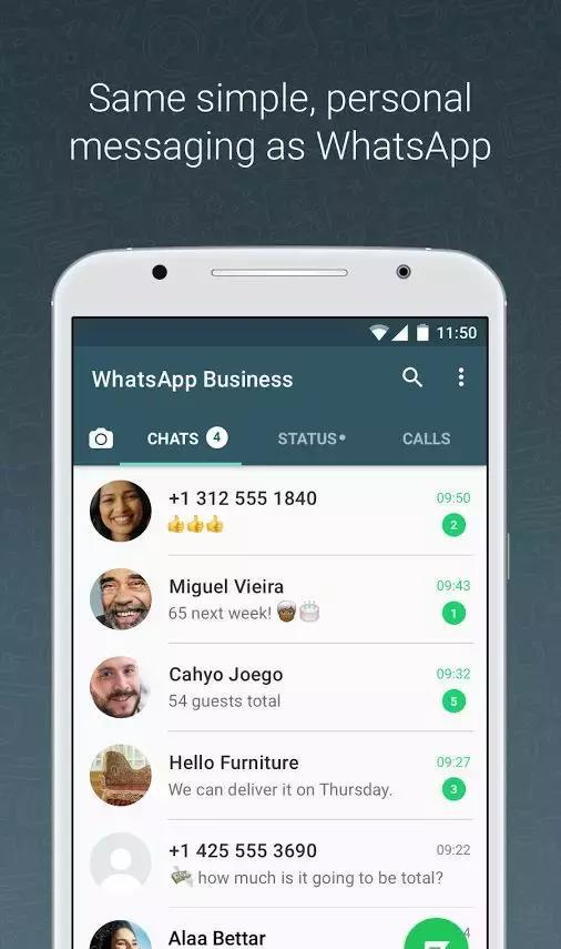 WhatsApp网页版在信息密集型工作中的使用体验