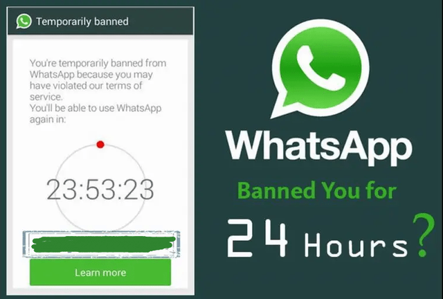 WhatsApp网页版登录与使用的注意事项和指南