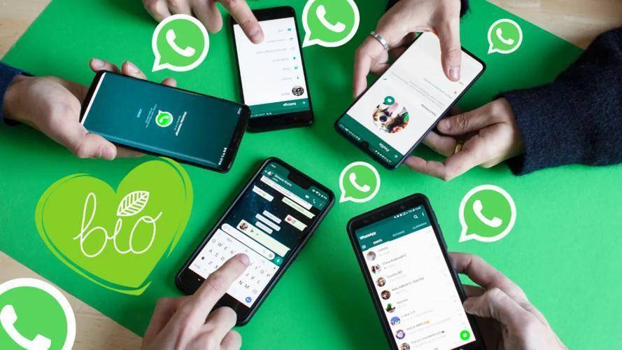 WhatsApp网页版在现代沟通体系中的位置与重要性